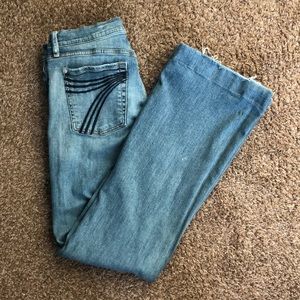 7 For All Mankind DOJO